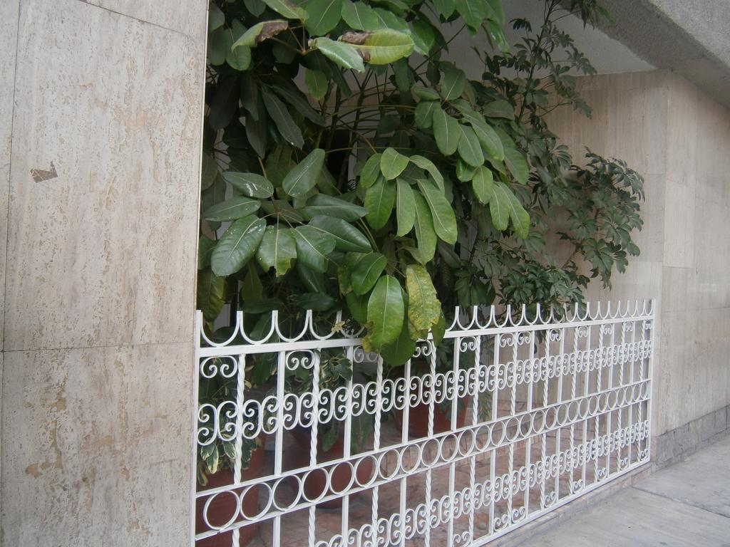 Hotel Polly Mexico City Exterior photo